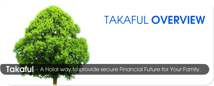 takaful-overview-banner